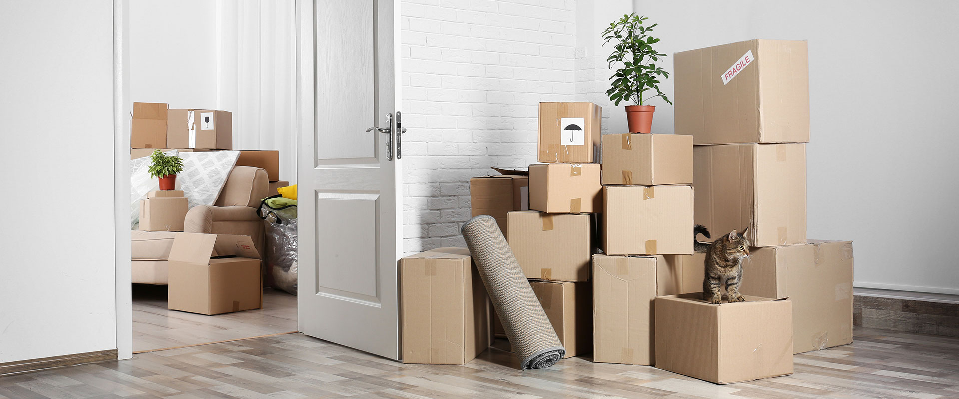 , movers and packers in Hyderabad 
